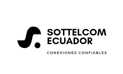 logo2024WladimirSoto